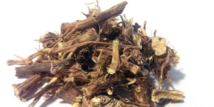 burdock root for the treatment of prostatitis