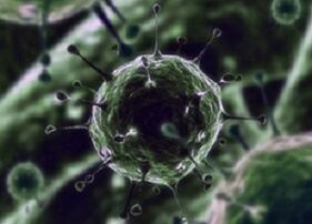 Bacterial microorganisms as a cause of prostate