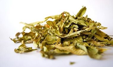 Herb for the treatment of prostate