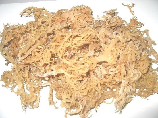 Irish moss bath for the treatment of prostatitis